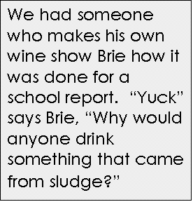 Text Box: We had someone who makes his own wine show Brie how it was done for a school report.  Yuck says Brie, Why would anyone drink something that came from sludge?